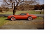 Click image for larger version

Name:	78 red bird.JPG
Views:	67
Size:	31.8 KB
ID:	154774