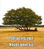 Click image for larger version

Name:	never give up.jpg
Views:	562
Size:	61.0 KB
ID:	585032
