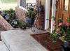 Click image for larger version

Name:	Snake front porch.jpg
Views:	353
Size:	127.5 KB
ID:	589373