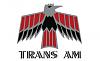 Click image for larger version

Name:	69 Trans Am banner.jpg
Views:	68
Size:	36.2 KB
ID:	594461