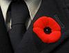 Click image for larger version

Name:	poppy on lapel.jpg
Views:	45
Size:	47.0 KB
ID:	553627