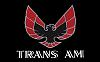 Click image for larger version

Name:	Black Trans Am.jpg
Views:	128
Size:	35.6 KB
ID:	594455