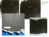 Click image for larger version

Name:	metal shavings in oil , filter and oil pan.jpg
Views:	67
Size:	59.8 KB
ID:	156656
