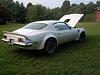 Click image for larger version

Name:	trans am 8.JPG
Views:	105
Size:	71.9 KB
ID:	116975