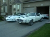 Click image for larger version

Name:	trans am homecoming 001.jpg
Views:	167
Size:	58.6 KB
ID:	131565