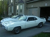 Click image for larger version

Name:	trans am homecoming 002.jpg
Views:	137
Size:	57.9 KB
ID:	131566