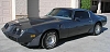 Click image for larger version

Name:	1981_pontiac_trans_am.jpg
Views:	20
Size:	32.5 KB
ID:	144051