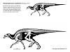 Click image for larger version

Name:	Brachylophosaurus.jpg
Views:	73
Size:	49.6 KB
ID:	472151