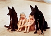 Click image for larger version

Name:	Girls with dogs.jpg
Views:	48
Size:	48.1 KB
ID:	181927