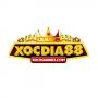 xocdia88bizcom's Avatar